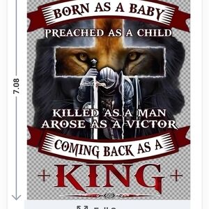 Graphic Tee with Lion and Knight Design